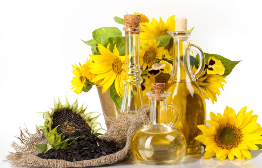 خط تولید روغن خوراکی