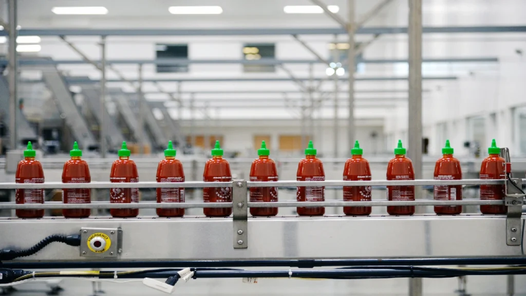 خط تولید سس کچاپ